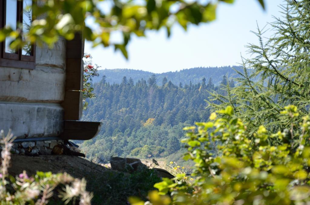 Schronisko Gorskie Nad Smolnikiem Smolnik  Exteriör bild
